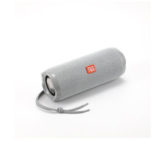 T&G SPEAKER PORTABLE TG-191 AUX/USB/MEMORY CARD SILVER